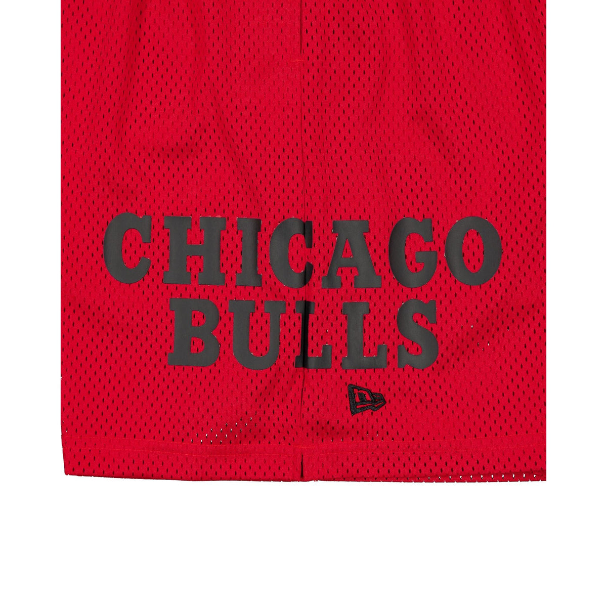 Chicago Bulls Summer Shorts