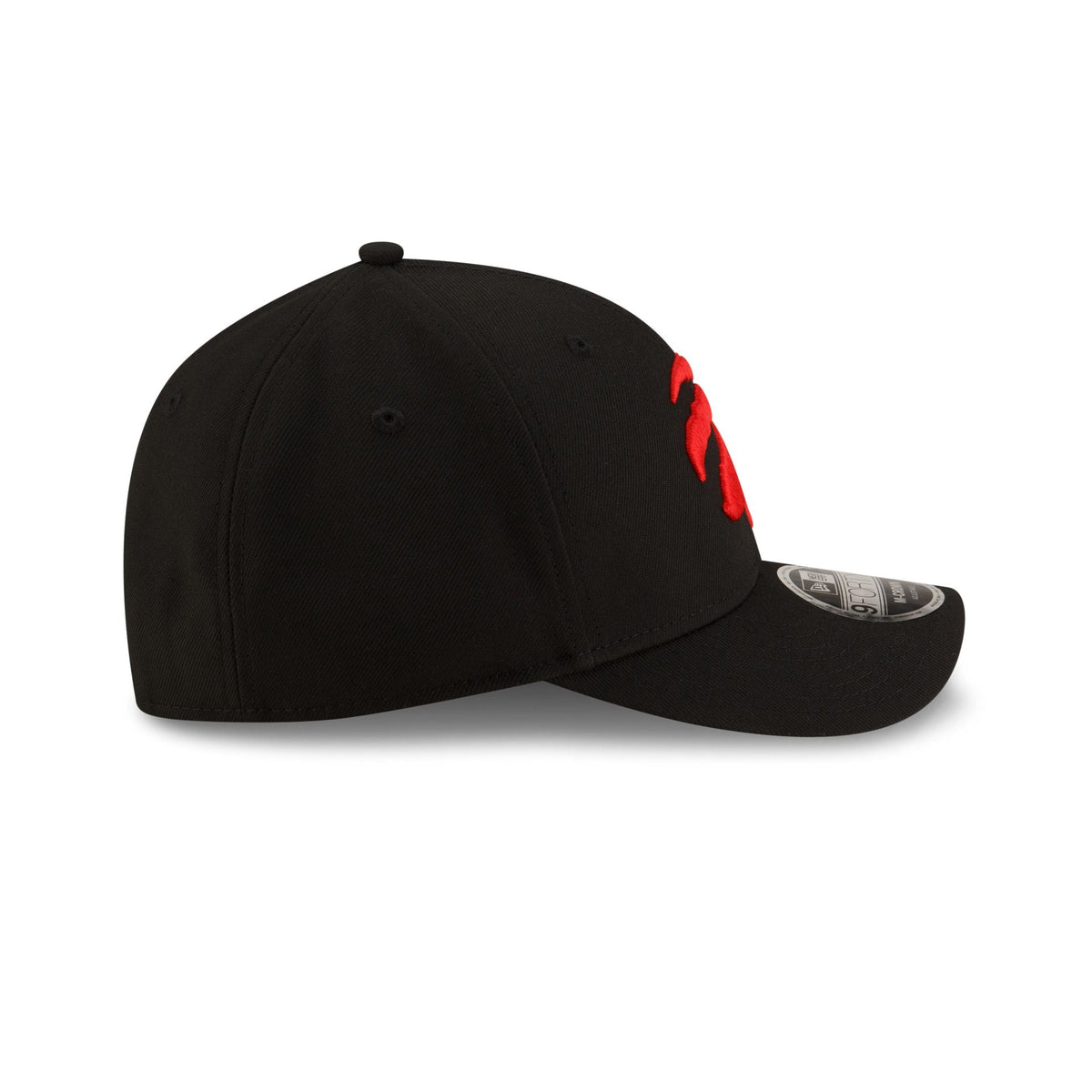 Toronto Raptors Team 9FORTY M-Crown Snapback Hat