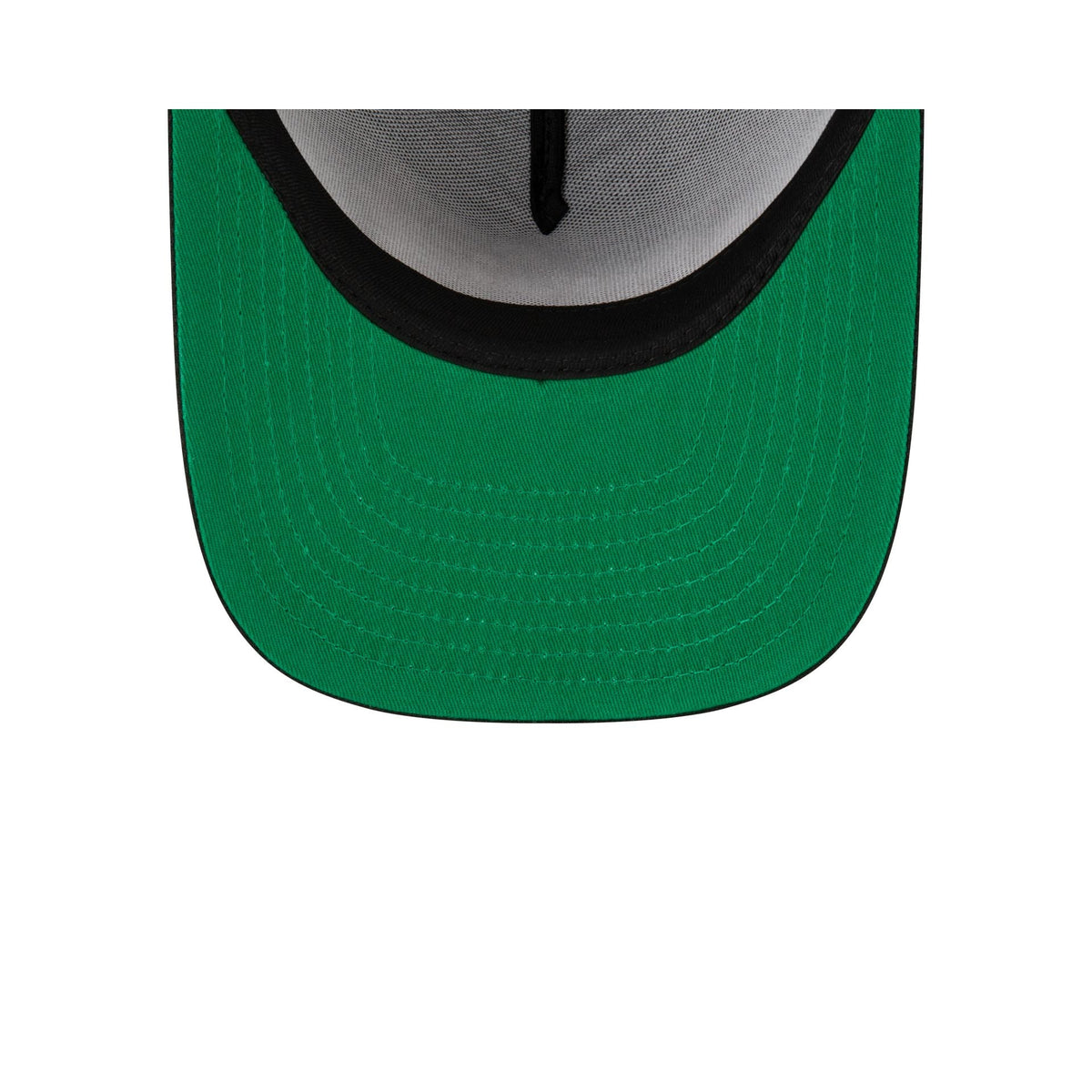 Born x Raised x Detroit Lions Script Black 9FIFTY A-Frame Snapback Hat